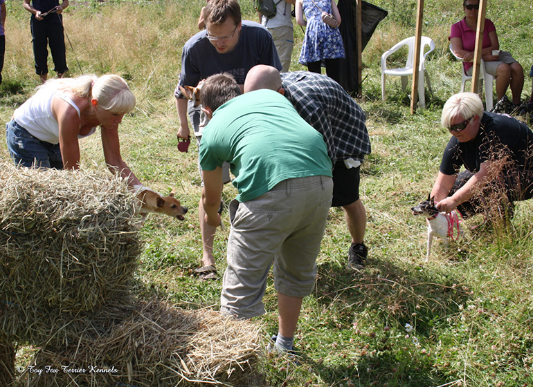 hiiritunnelijuoksu 28