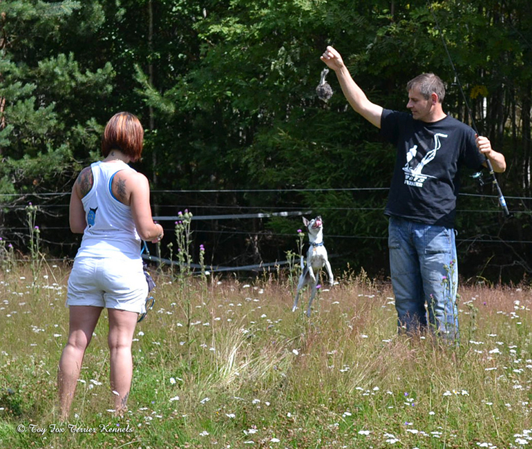 hiiritunnelijuoksu 4