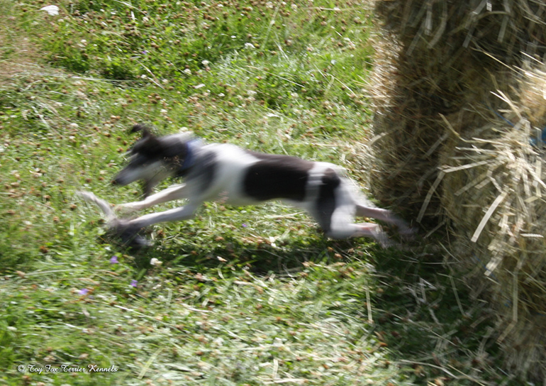 hiiritunnelijuoksu 50