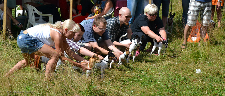 hiiritunnelijuoksu 2