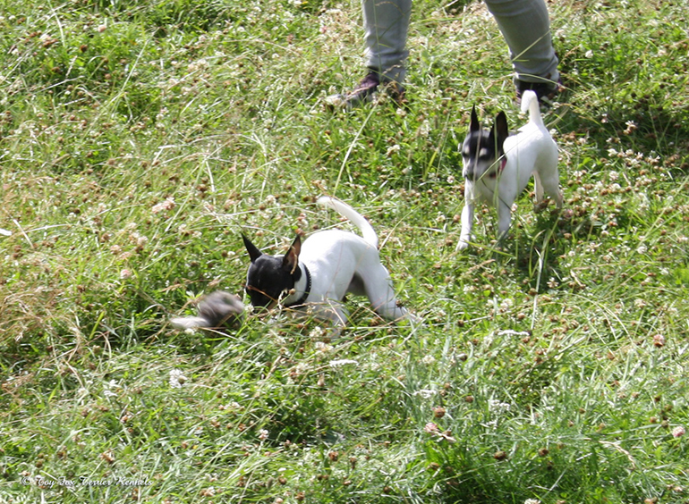 hiiritunnelijuoksu 32