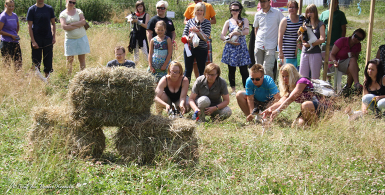 hiiritunnelijuoksu 12