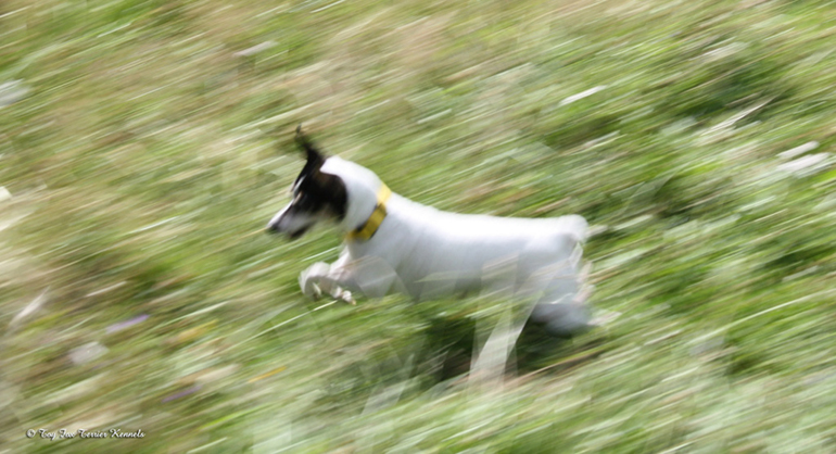 hiiritunnelijuoksu 38