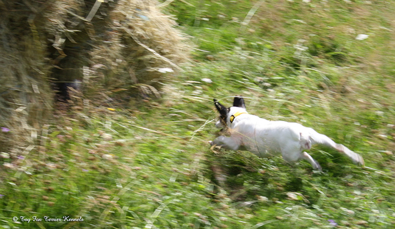 hiiritunnelijuoksu 15