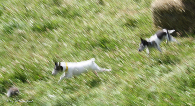 hiiritunnelijuoksu 37