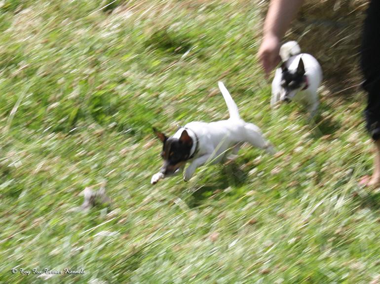 hiiritunnelijuoksu 30