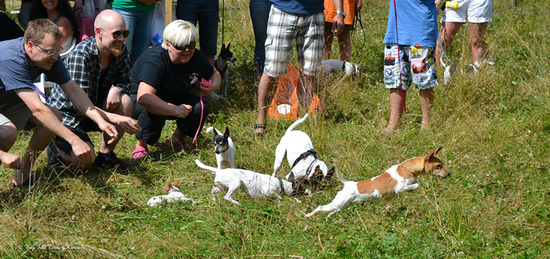 hiiritunnelijuoksu 3