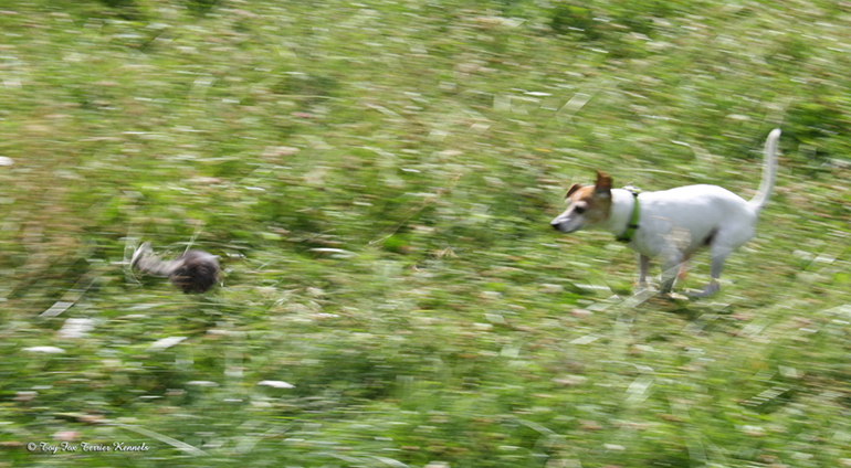 hiiritunnelijuoksu 26