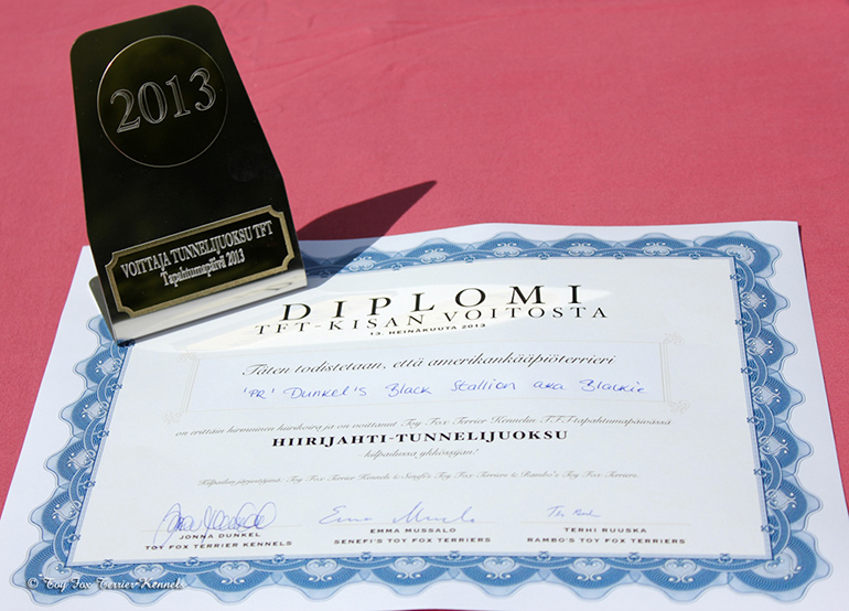 hiiritunnelijuoksu diplomi