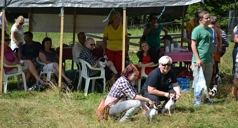 hiiritunnelijuoksu 5