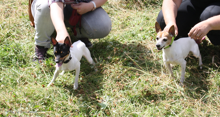 hiiritunnelijuoksu 39