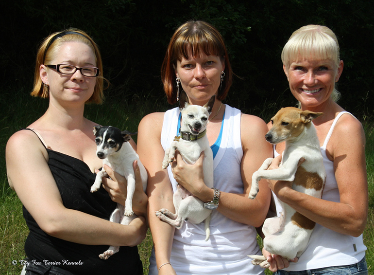 taakanveto voittajat