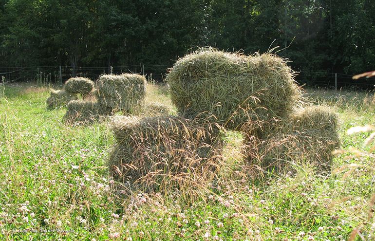 hiiritunnelijuoksu heinapaalit