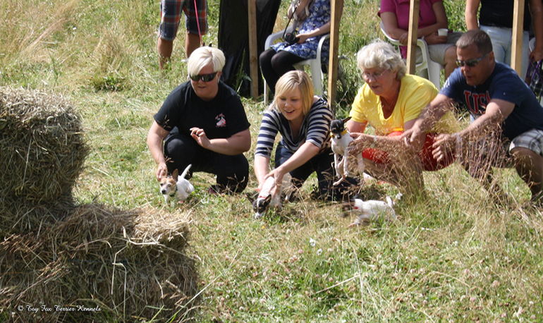 hiiritunnelijuoksu 24