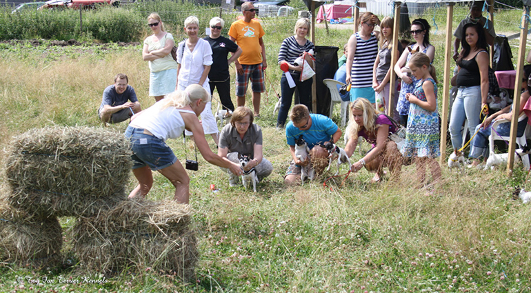 hiiritunnelijuoksu 10