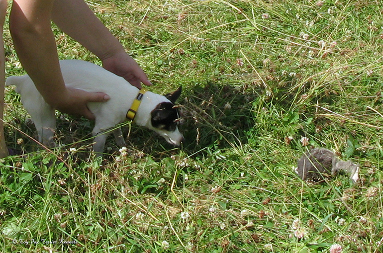 hiiritunnelijuoksu 1