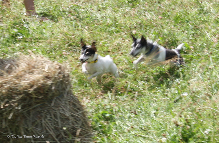 hiiritunnelijuoksu 35