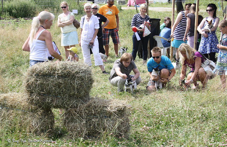 hiiritunnelijuoksu 9