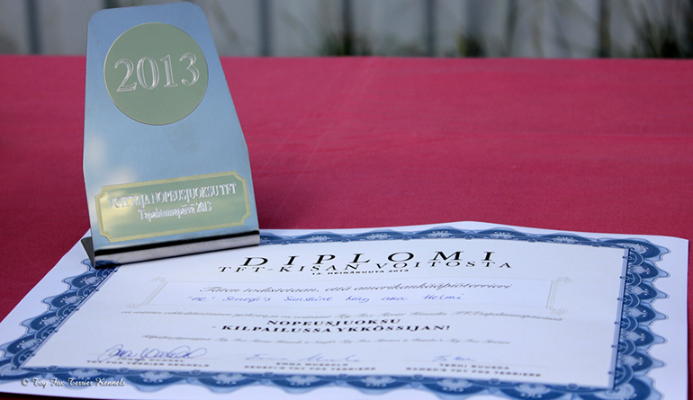 nopeusjuoksu diplomi