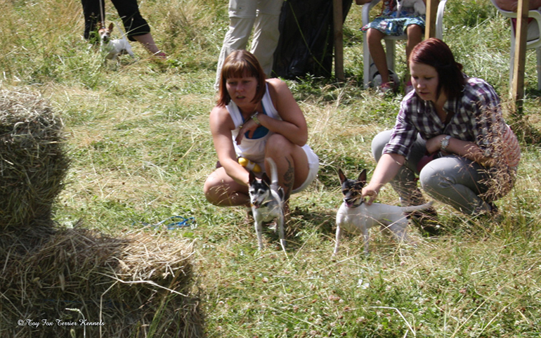 hiiritunnelijuoksu 47