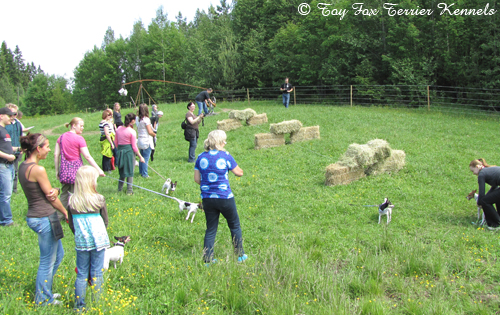 hiirijahti-tunnelijuoksu rata