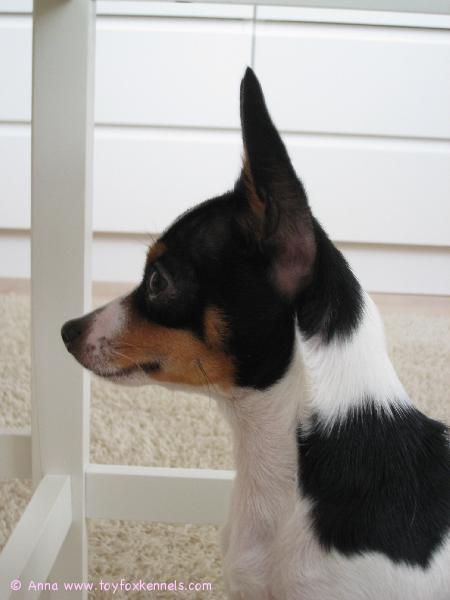 Alma
Katse kohti kesää...