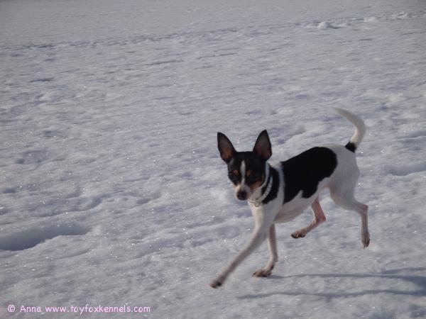 Alma maaliskuussa 2009