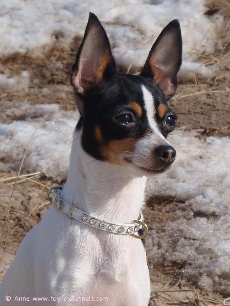 Alma maaliskuussa 2009