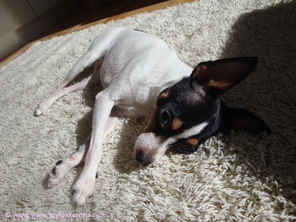 Alma ottaa aurinkoa (: