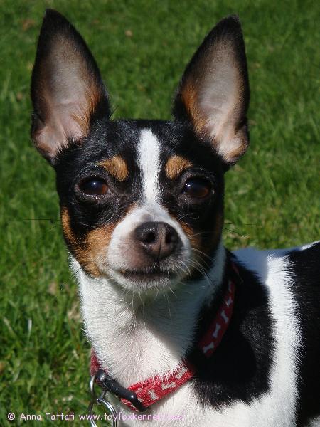 Alma kesätunnelmissa :D