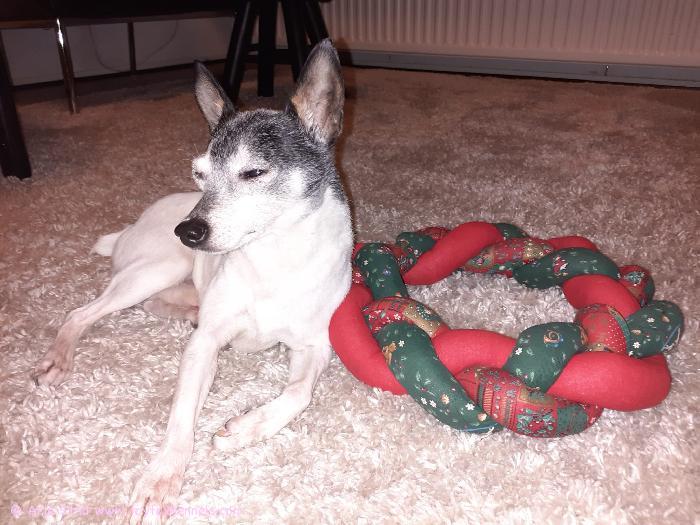 Hyvää Joulua toivottaa Andy ja Arja.