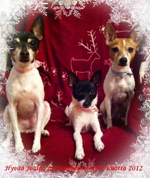 Karvakopla toivottaa Hyvää Joulua!