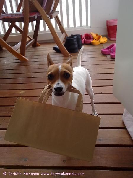 Osku lähdössä shoppailemaan