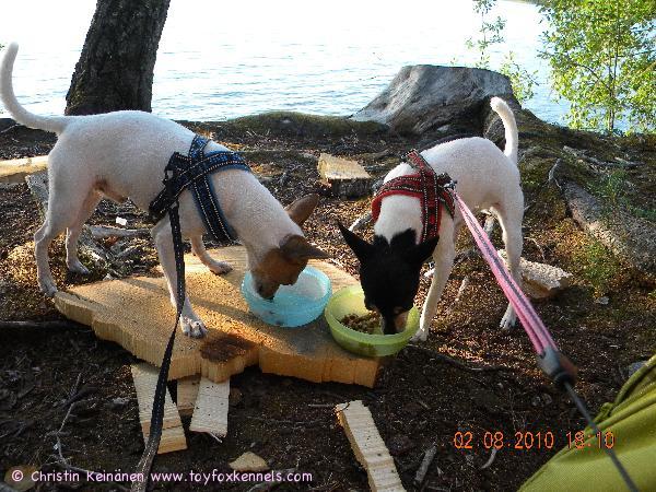 Luna ja Osku eväsretkellä