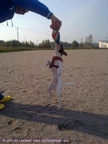 Lunan käsitys pallo pelistä