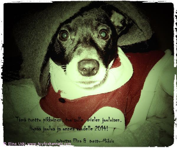 Hyvää joulua ja onnea vuodelle 2014!

toivottaa Elina & tonttu-Möksis