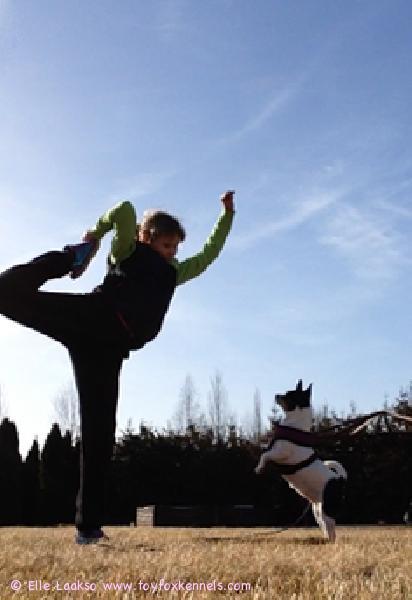 'PR' Dunkel's Mandy Mocca aka Cindy harrastaa koiratanssia!