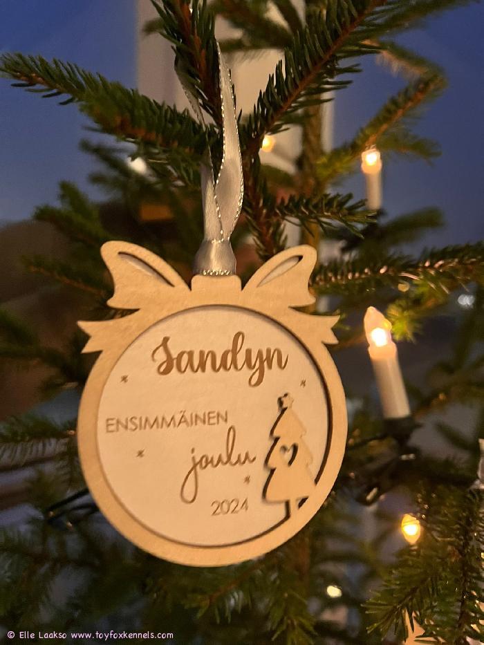 Hyvää Joulua!
toivottaa Sandy