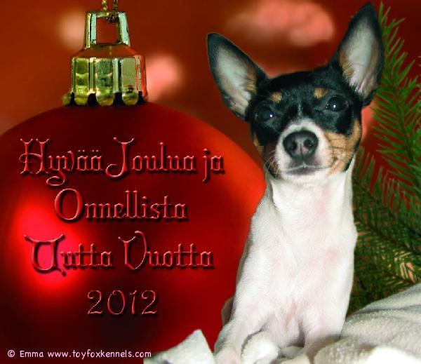 Ihanaa Joulun aikaa kaikille!