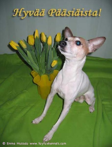 Hyvää Pääsiäistä!