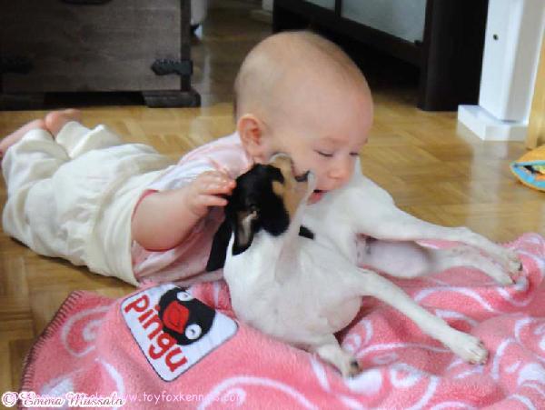 Rakas kummityttömme Ida sekä oma kasvattimme 'PR' Dunkel's Rosalynn aka Rosa.