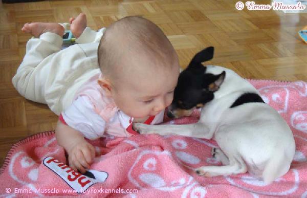 Rakas kummityttömme Ida sekä oma kasvattimme 'PR' Dunkel's Rosalynn aka Rosa.