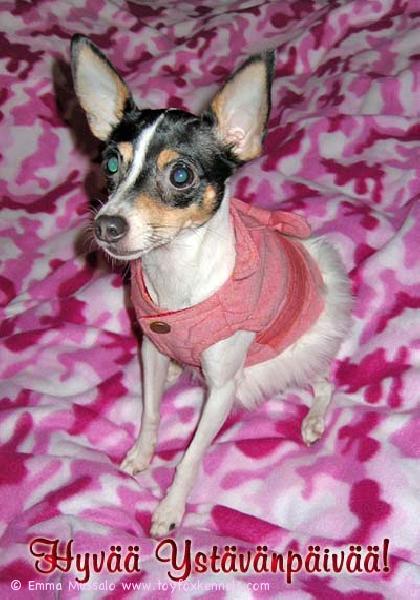 Hauskaa Ystävänpäivää!