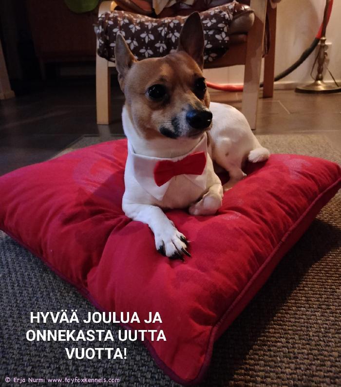 Hyvää joulua ja onnekasta uutta vuotta! T. Manu ja kumppanit