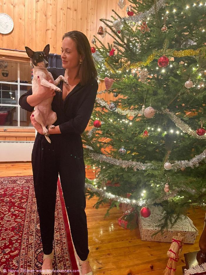 Essie joulutunnelmissa.