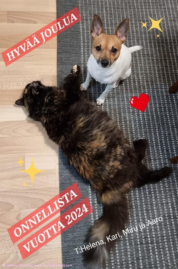 Hyvää joulua ja onnellista vuotta 2024. T: Helena, Kari, Miru ja Aaro