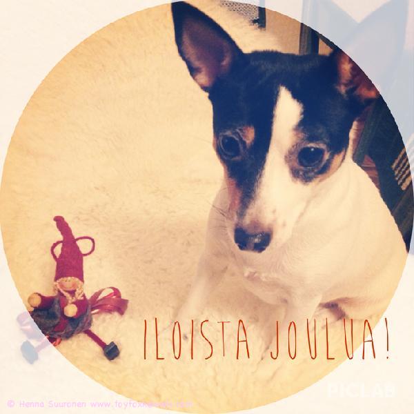 Pandan jouluterveiset