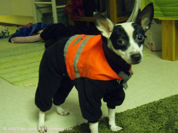 Pakkaslenkille lähdössä :o)