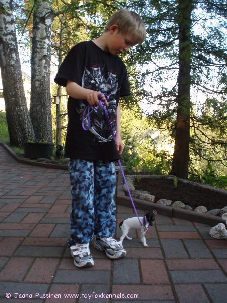 Siru uudessa kodissa, lenkillä