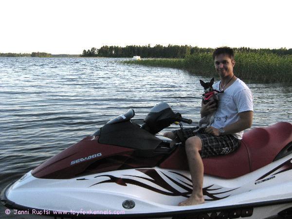 Nuppu jetteilemässä